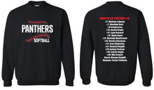 11u Panthers Softball