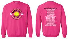 11U Practice Like You Never Won