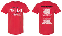 11u Panthers Softball